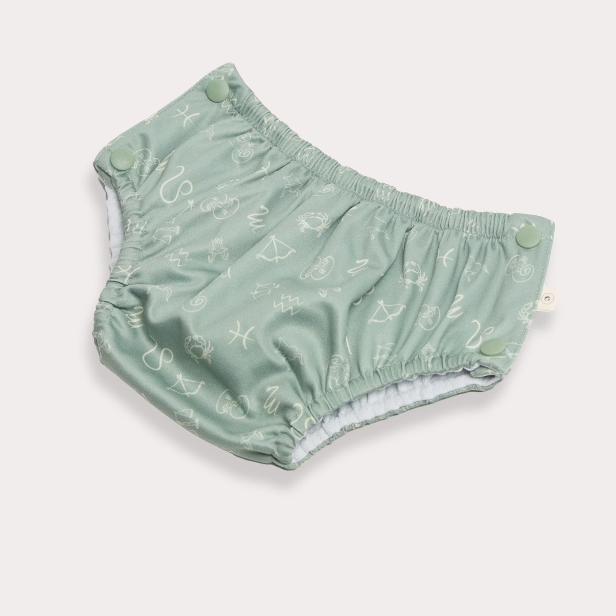 2 Pack of Swim Nappies | Mint + Zodiac Sage - Large 11-13kg