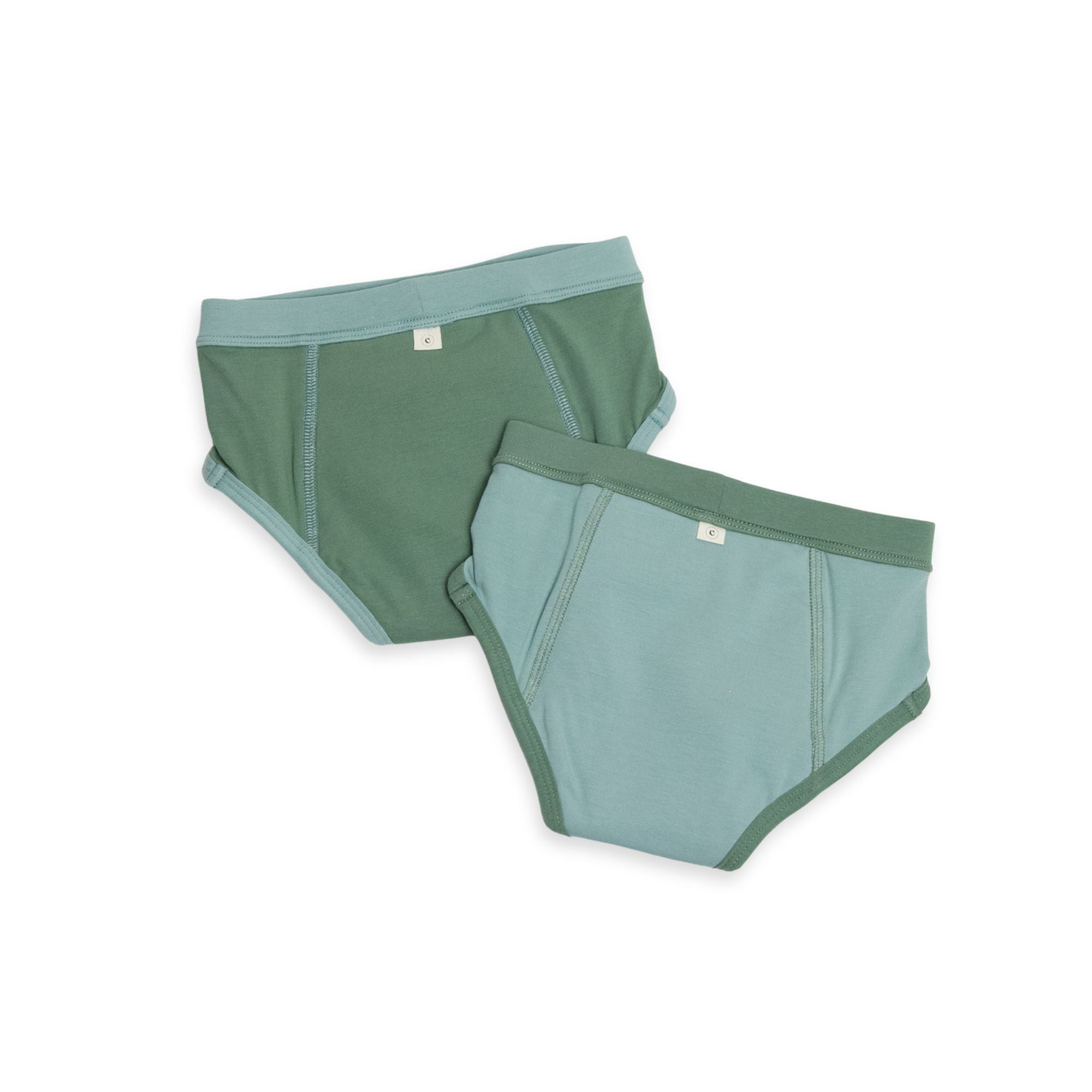 EcoNaps Reusable Training Pants 2 Pack - Garden - 2-3y