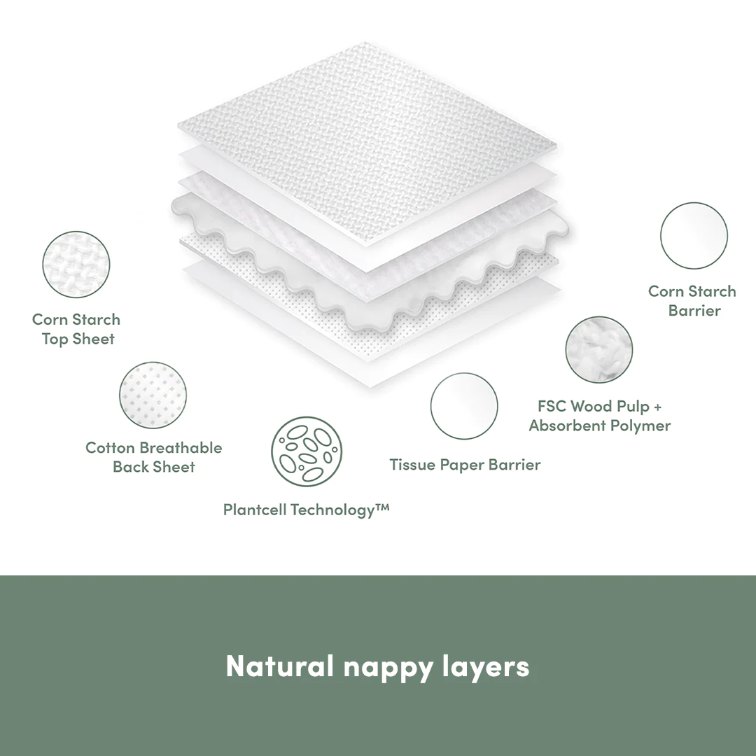 Legacy 3 Packs of Nappies